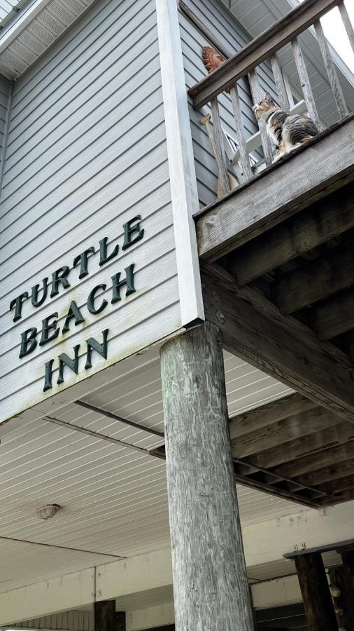 Turtle Beach Inn Indian Pass ภายนอก รูปภาพ